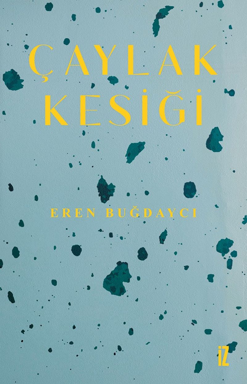 Çaylak Kesiği kitap kapağı