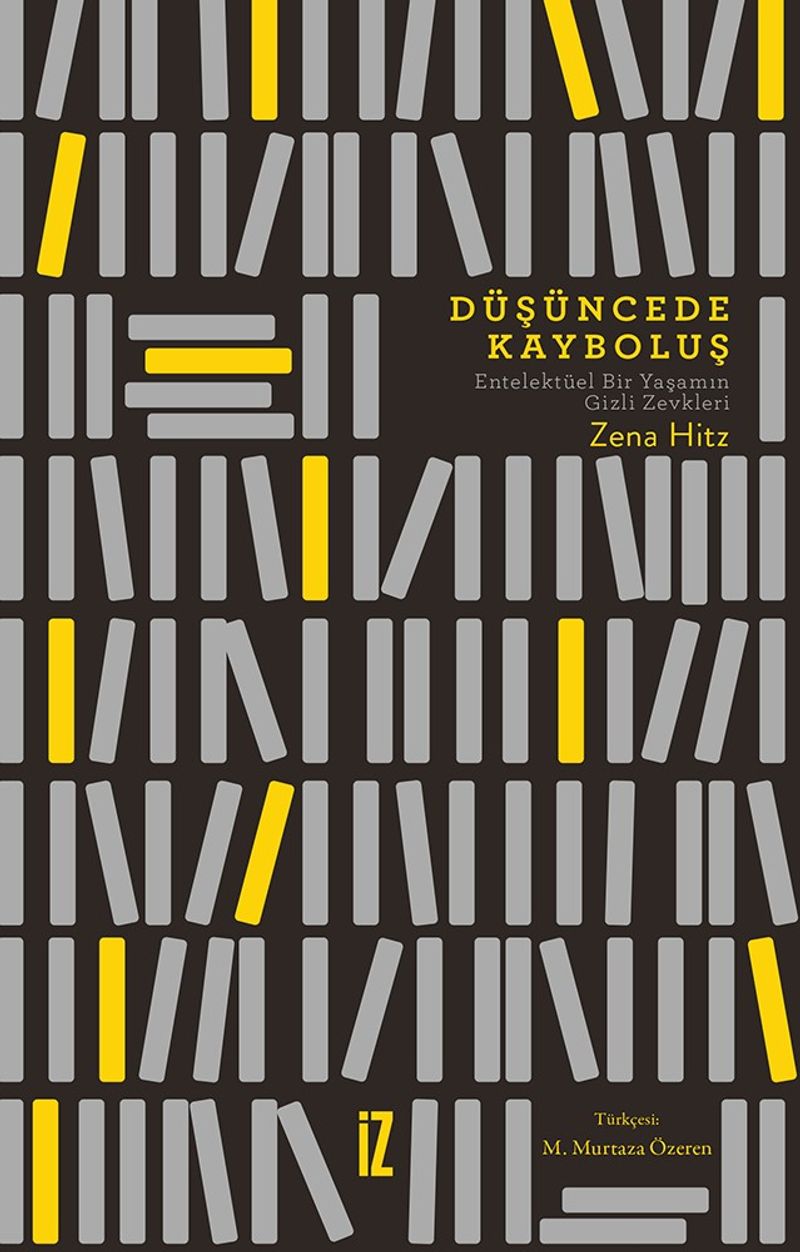 Düşüncede Kayboluş kitap kapağı