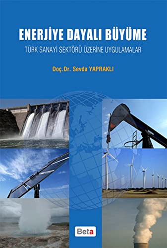 Enerjiye Dayalı Büyüme kitap kapağı