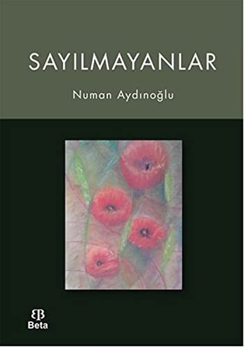 Sayılmayanlar kitap kapağı