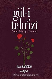 Gül-i Tebrizi & Divan Edebiyatı Yazıları kitap kapağı