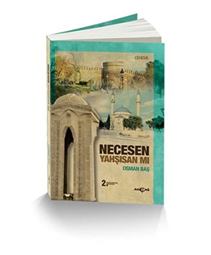 Necesen Yahşisan mı kitap kapağı
