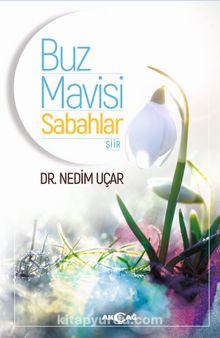 Buz Mavisi Sabahlar kitap kapağı