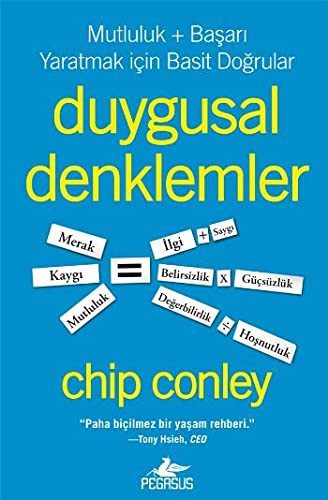 Duygusal Denklemler kitap kapağı