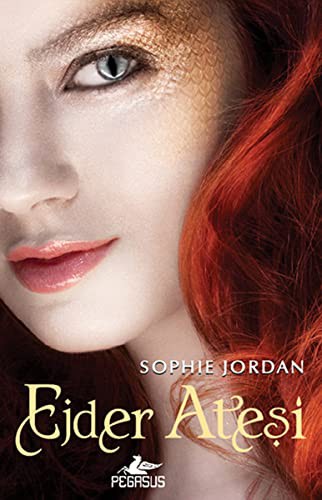 Ejder Ateşi / Draki Serisi -1 kitap kapağı