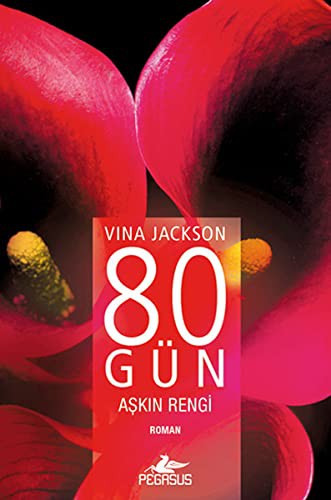 80 Gün Aşkın Rengi kitap kapağı