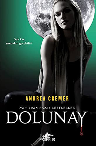 Dolunay kitap kapağı
