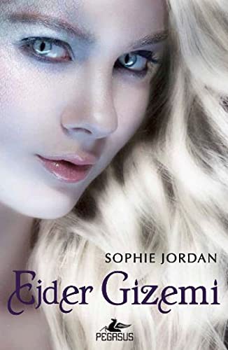 Ejder Gizemi / Draki Serisi -2 kitap kapağı