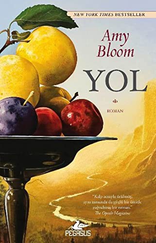 Yol kitap kapağı