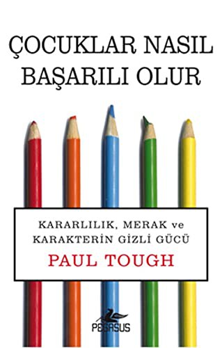 Çocuklar Nasıl Başarılı Olur kitap kapağı