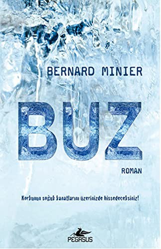 Buz kitap kapağı