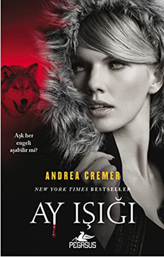 Ay Işığı kitap kapağı