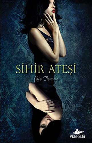 Sihir Ateşi (Sihir Ateşi 1. Kitap) kitap kapağı