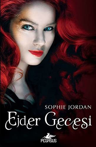 Ejder Gecesi / Draki Serisi -3 kitap kapağı