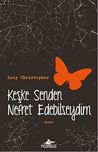 Keşke Senden Nefret Edebilseydim kitap kapağı