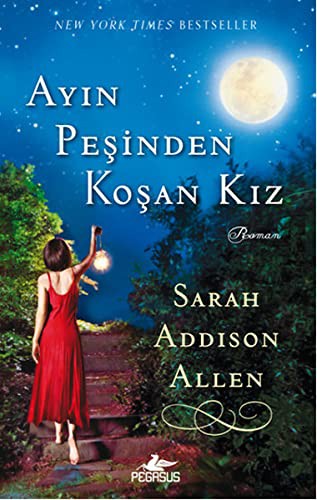Ayın Peşinden Koşan Kız kitap kapağı