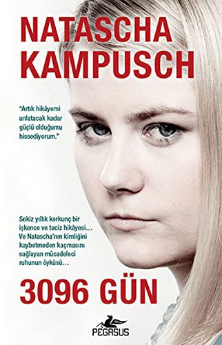 3096 Gün kitap kapağı