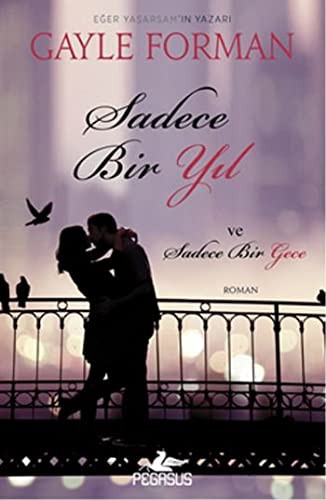 Sadece Bir Yıl ve Sadece Bir Gece kitap kapağı