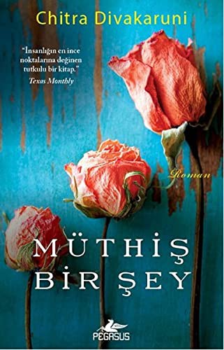 Müthiş Bir Şey kitap kapağı