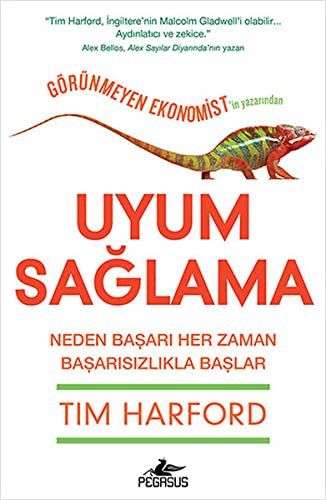 Uyum Sağlama kitap kapağı