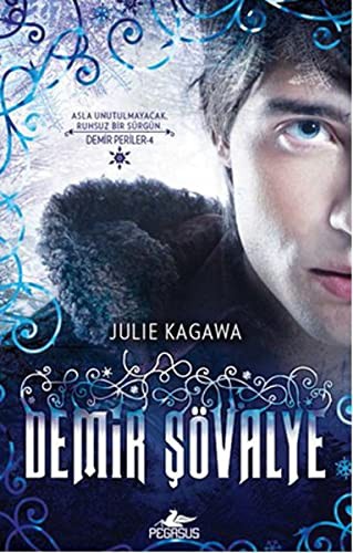Demir Şövalye / Demir Periler Serisi 4. Kitap kitap kapağı