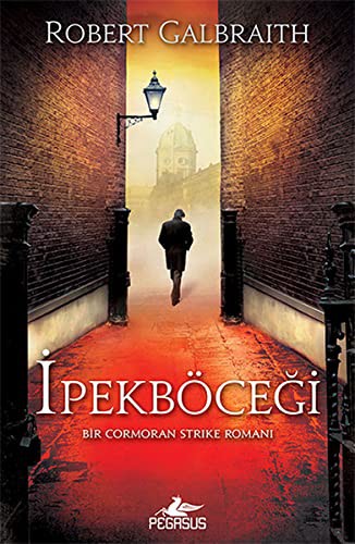 İpekböceği / Cormoran Strike 2 kitap kapağı