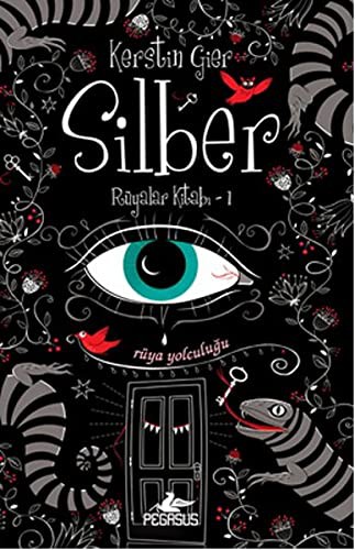 Silber (Ciltli) / Rüyalar Kitabı 1 kitap kapağı