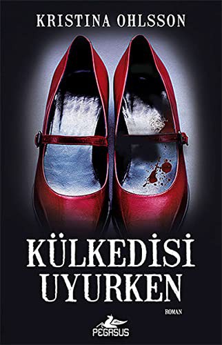 Külkedisi Uyurken kitap kapağı