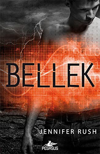 Bellek / Amnezi 2. Kitap kitap kapağı