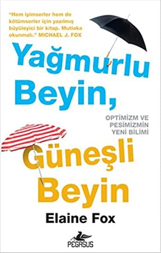 Yağmurlu Beyin, Güneşli Beyin kitap kapağı