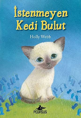 İstenmeyen Kedi Bulut kitap kapağı