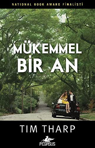 Mükemmel Bir An kitap kapağı