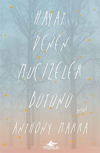 Hayat Denen Mucizeler Bütünü kitap kapağı