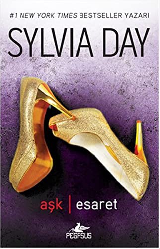 Aşk - Esaret kitap kapağı