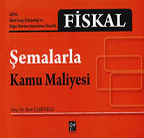 Fiskal - Şemalarla Kamu Maliyesi kitap kapağı