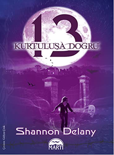 13: Kurtuluşa Doğru kitap kapağı