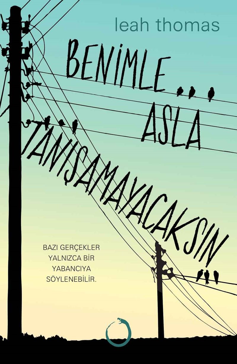 Benimle Asla Tanışamayacaksın (Ciltli) kitap kapağı