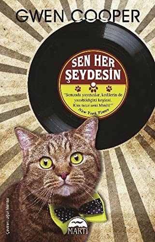 Sen Her Şeydesin kitap kapağı