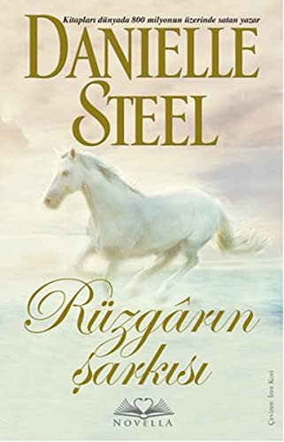 Rüzgarın Şarkısı kitap kapağı