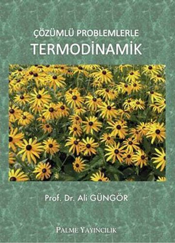 Çözümlü Problemlerle Termodinamik kitap kapağı