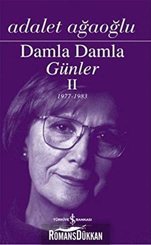 Damla Damla Günler 2 kitap kapağı
