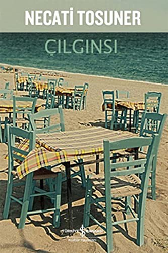 Çılgınsı kitap kapağı