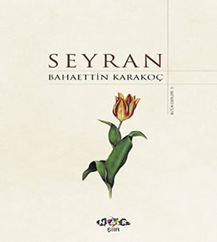 Seyran (Ciltli) kitap kapağı
