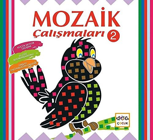 Mozaik Çalışmaları 2 kitap kapağı