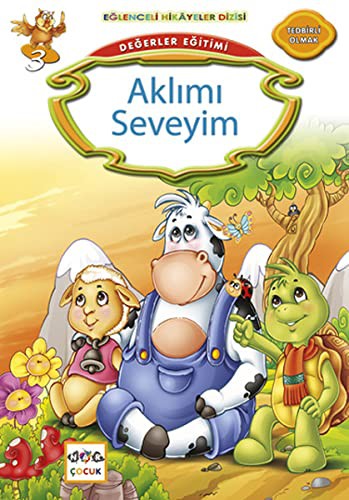 Aklımı Seveyim kitap kapağı