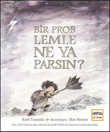 Bir Problemle Ne Yaparsın? kitap kapağı