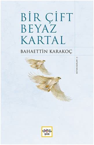 Bir Çift Beyaz Kartal (Ciltli) kitap kapağı