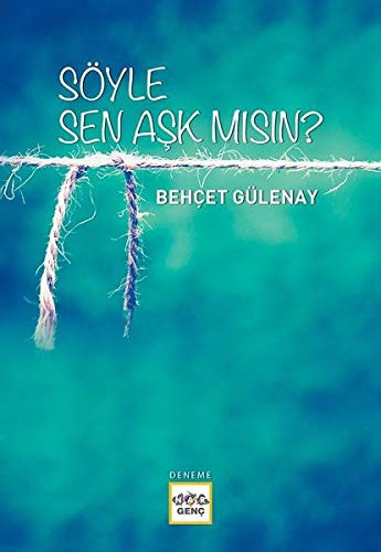 Söyle Sen Aşk mısın? kitap kapağı