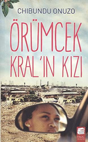 Örümcek Kral'ın Kızları kitap kapağı