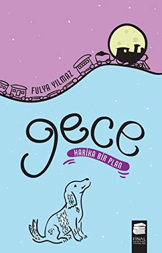 Gece & Harika Bir Plan kitap kapağı